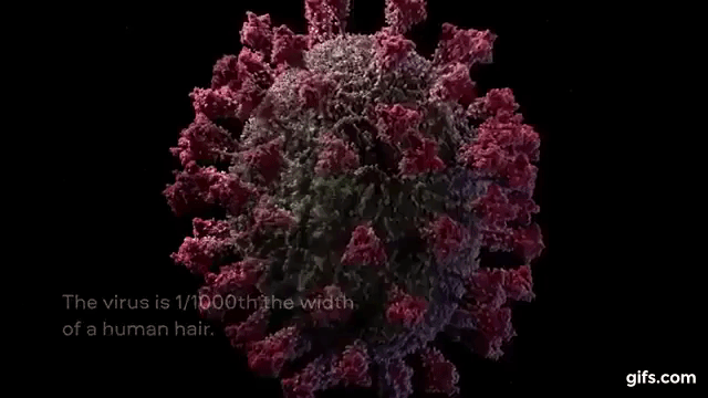Modelo tridimensional do novo coronavírus