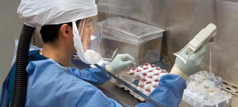 Cientista usando o equipamento de proteção individual adequado para a investigação da imunidade na covid-19 por células T em laboratório