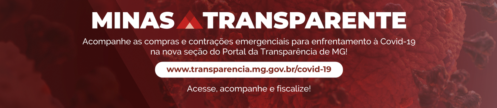 Banner Portal da Transparência Covid